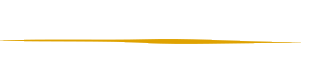 The Bike Company