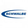 Schwalbe